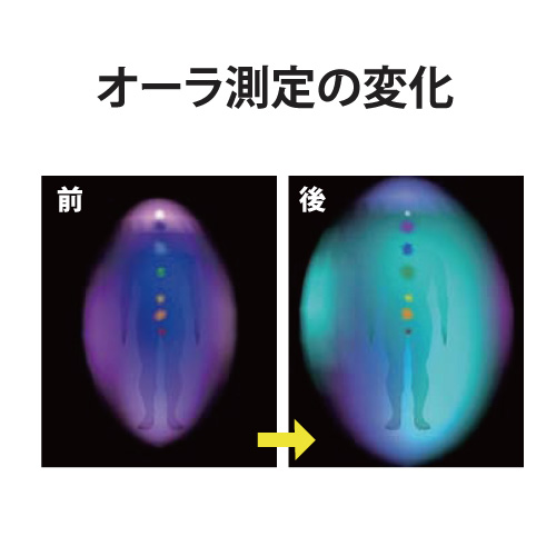 フラワーシャーベット